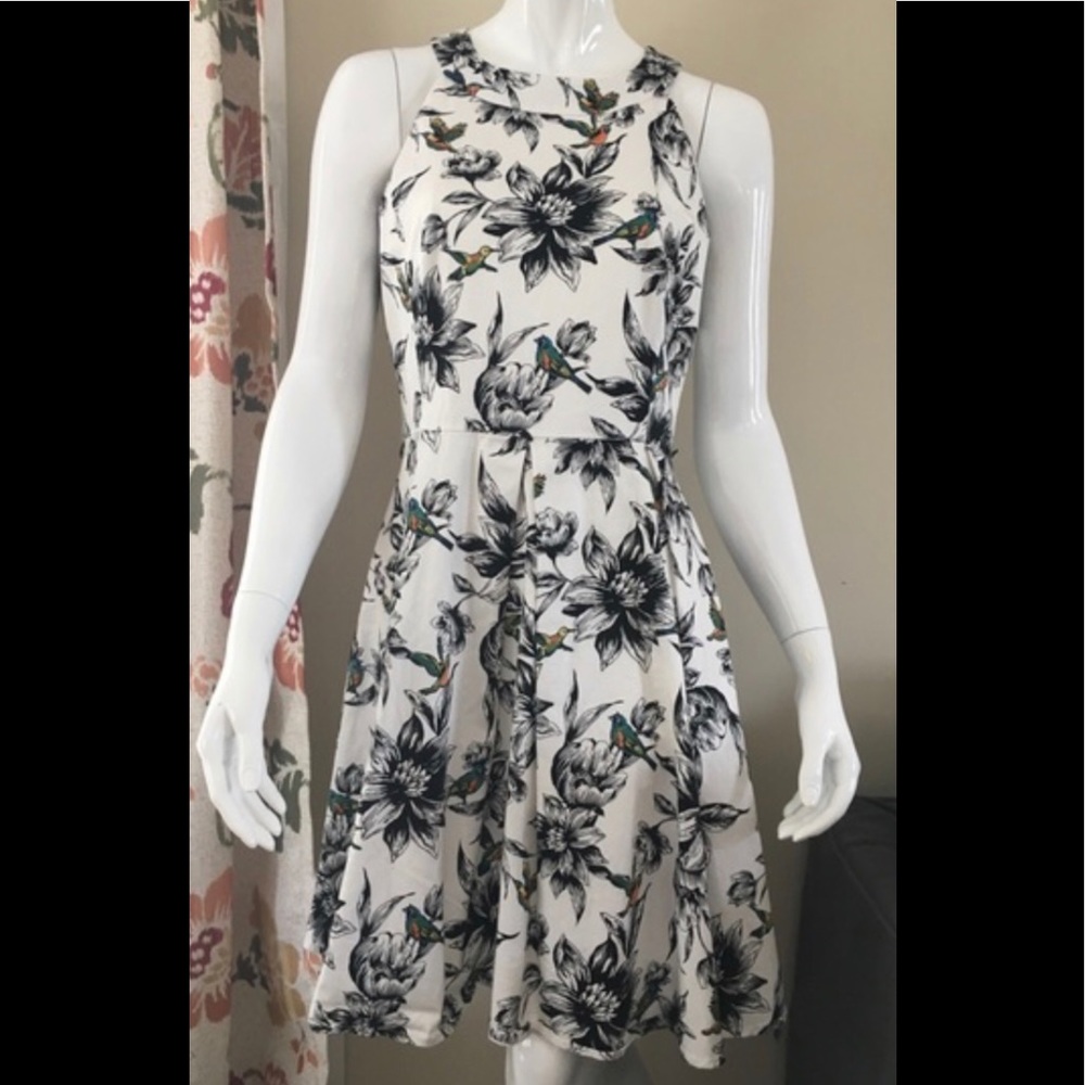 Dress Barn Cocktail Bird print dress